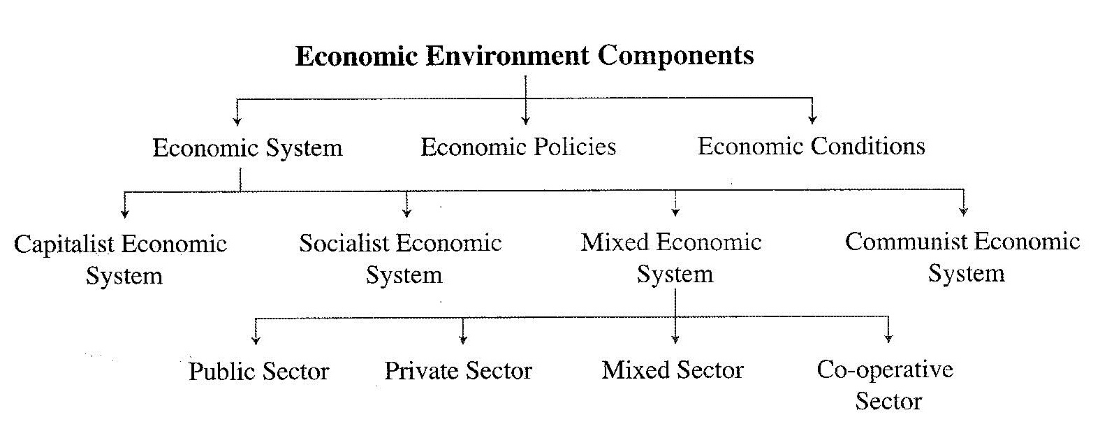 What is the Economic Environment? - Owlgen