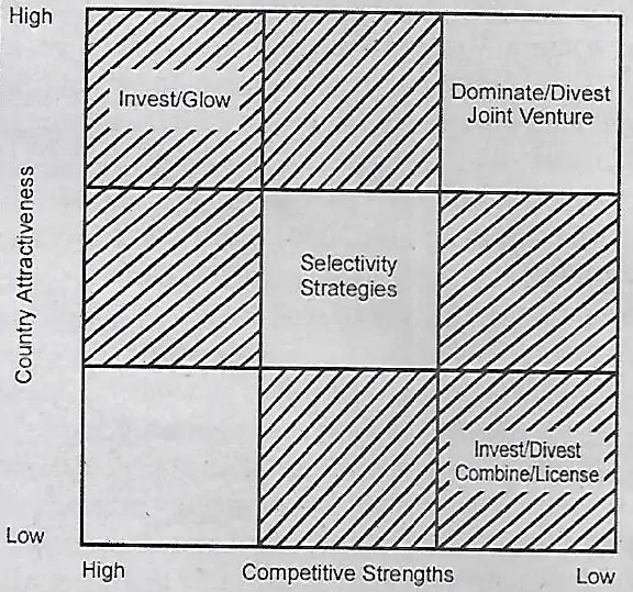 Explain the Steps Involved in the Process of International Market Selection.